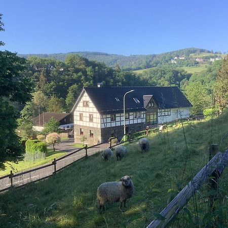 Berg Blick Eifler Bauernhaus Modern Restauriert Зиммерат Экстерьер фото